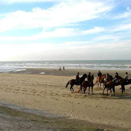 Penthouse In Near The Sea 아파트 *