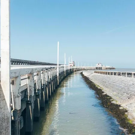 Penthouse In Near The Sea
