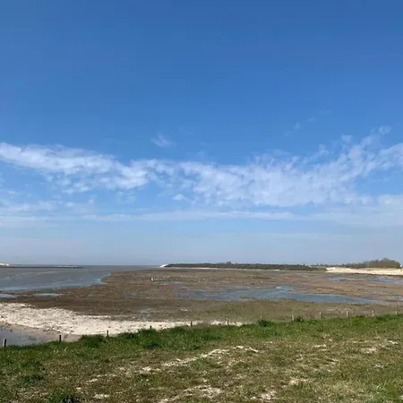 Penthouse In Near The Sea *